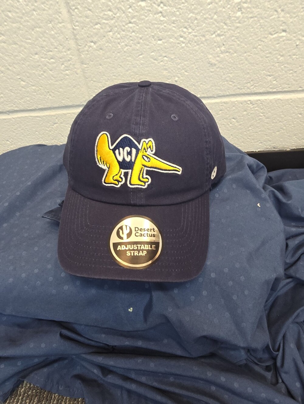 Desert Cactus University of California Irvine Embroidered Baseball Hat (B)